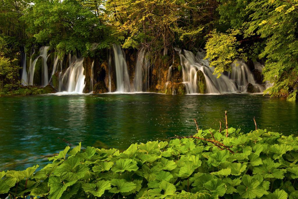 Guesthouse Villa Plitvicka Plitvička Jezera Cameră foto